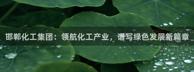 球盟会可以提现么现在