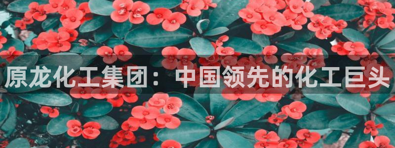 球盟会官方平台入口