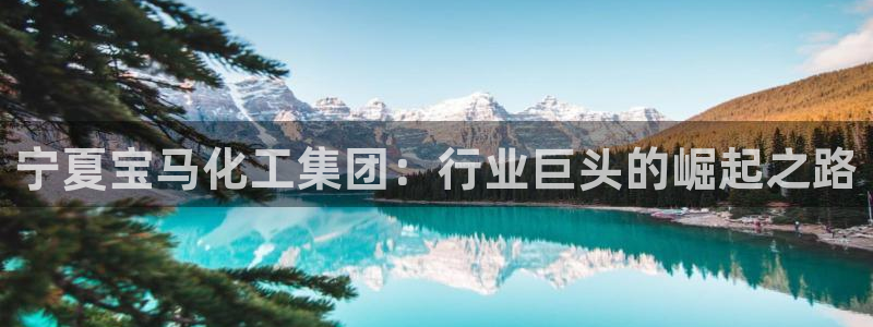 球盟会有没有黑单的活动