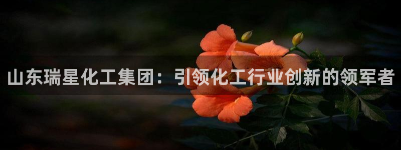 球盟会国际官网