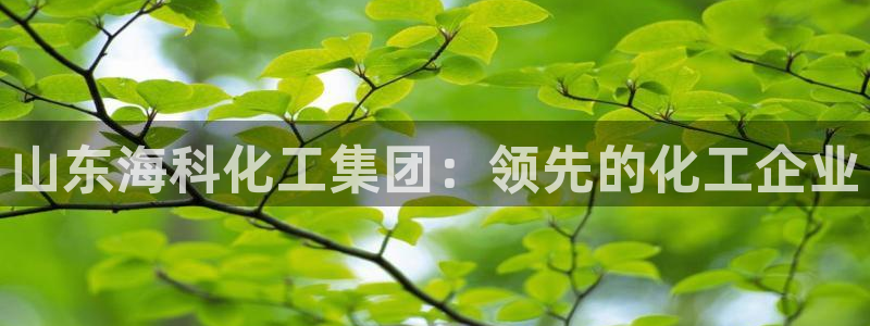 球盟会qm8597