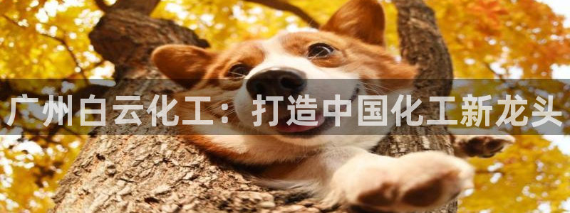 球盟会下载最新版