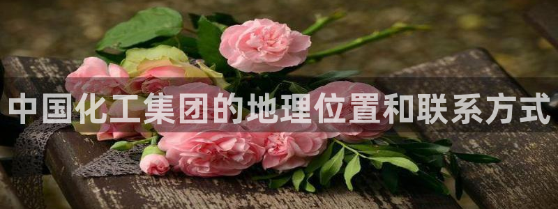 球盟会网址多少