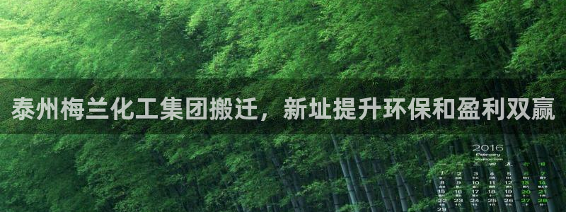 球盟会进不去
