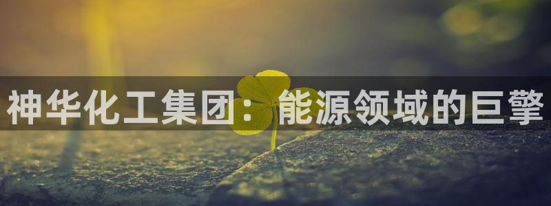 千亿球盟会乐玩