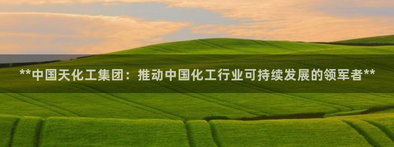 球盟会论坛：**中国天化工集团：推动中国化工行业可持续发展的