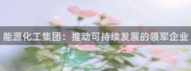 球盟会头号玩家是谁