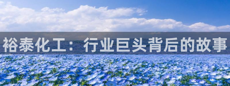 球盟会优惠码