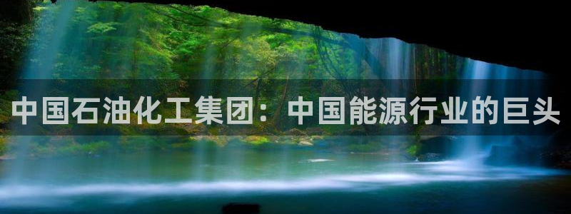 球盟会qm9：中国石油化工集团：中国能源行业的巨头