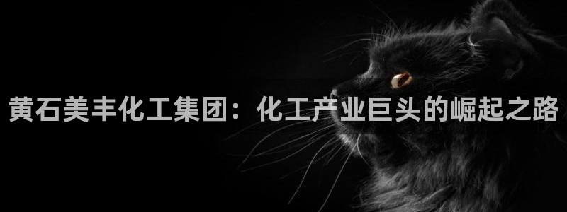 球盟会电子游戏平台