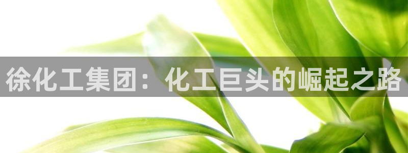 球盟会qmh - 球盟会官方网站
