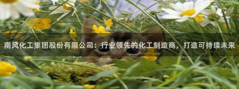 球盟会网页登录app下载地址：南风化工集团股份有限公司：行业