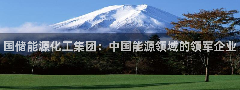 球盟会网页登录：国储能源化工集团：中国能源领域的领军企业
