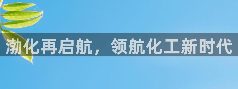 球盟会提款支付宝怎么样：渤化再启航，领航化工新时代