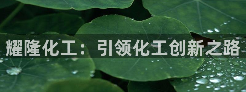 球盟会登录入口：耀隆化工：引领化工创新之路