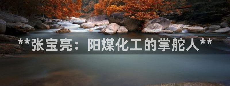 球盟会登陆中心
