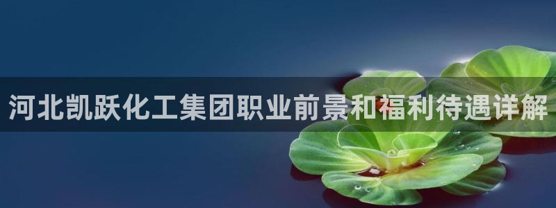 球盟会官方网站入口：河北凯跃化工集团职业前景和福利待遇详解