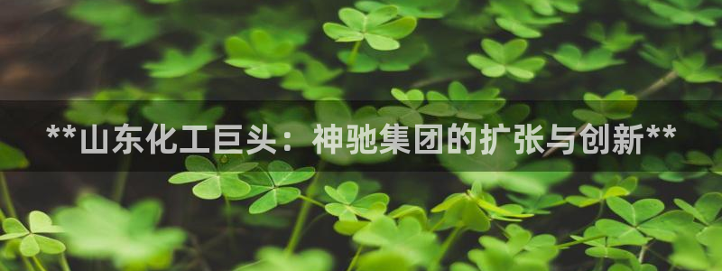 球盟会登陆中心：**山东化工巨头：神驰集团的扩张与创新**