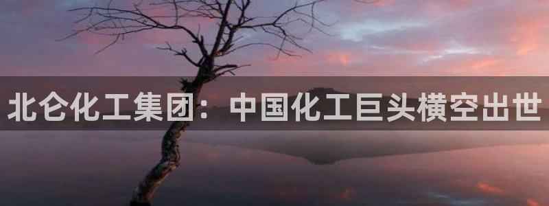 球盟会app最新地址下载安装