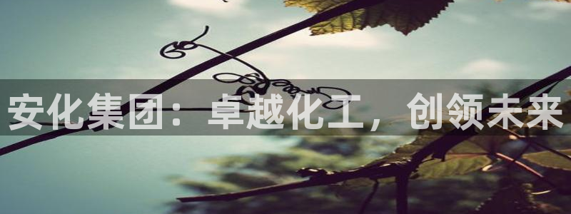 球盟会app最新地址在哪里：安化集团：卓越化工，创领未来