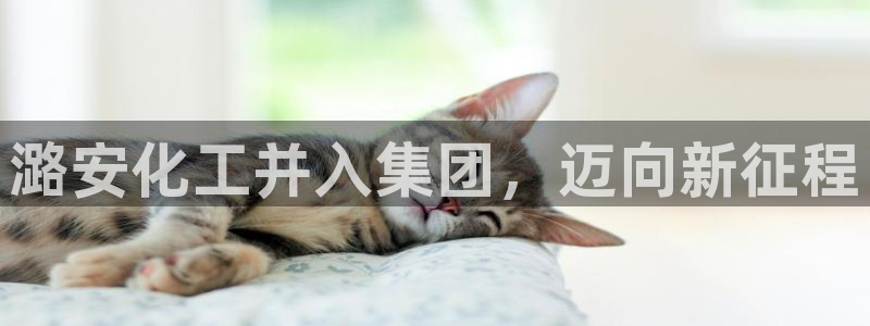 球盟会官网app下载