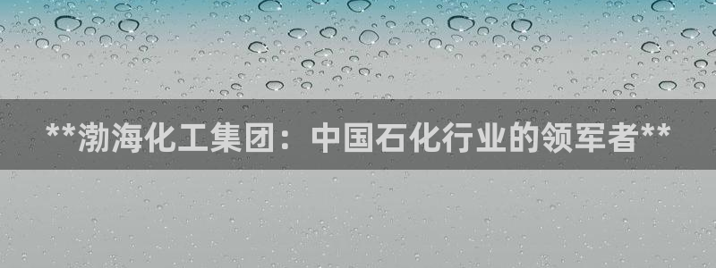 球盟会网址多少：**渤海化工集团：中国石化行业的领军者**