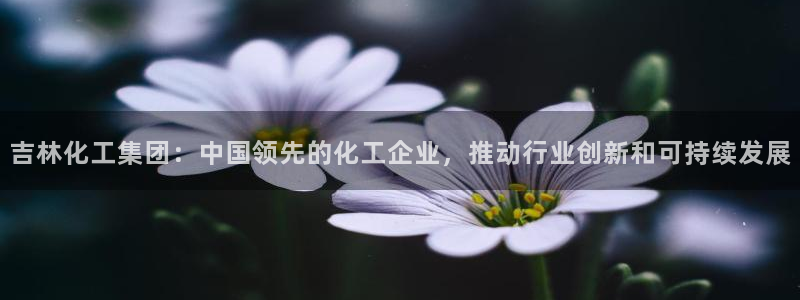 球盟会官方网址入口：吉林化工集团：中国领先的化工企业，推动行