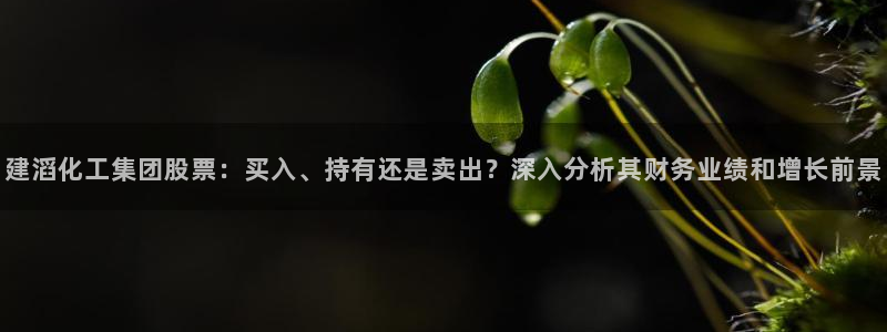 球盟会网页登录入口：建滔化工集团股票：买入、持有还是卖出？深
