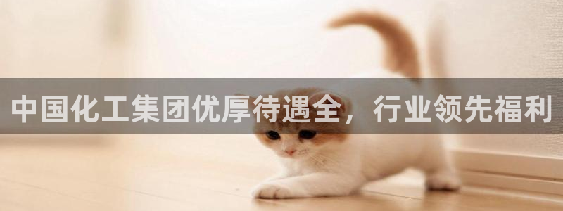 球盟会论坛