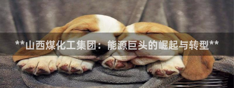 球盟会贴吧