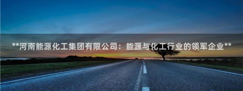球盟会官方平台入口：**河南能源化工集团有限公司：能源与化工