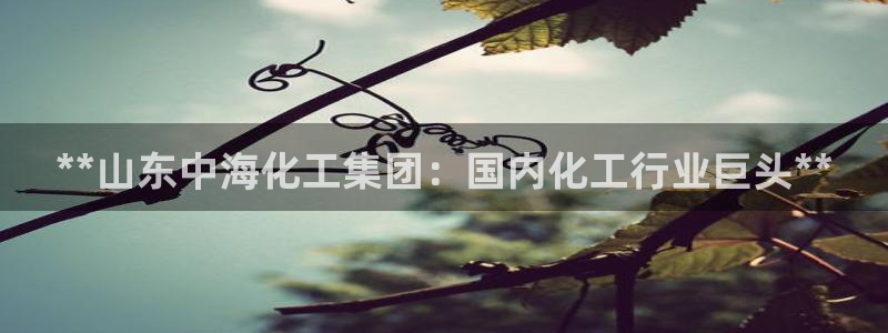 千亿球盟会：**山东中海化工集团：国内化工行业巨头**