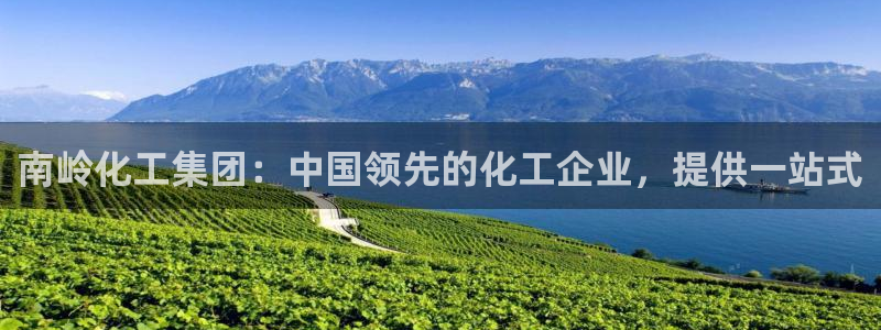 球盟会在线登录：南岭化工集团：中国领先的化工企业，提供一站式