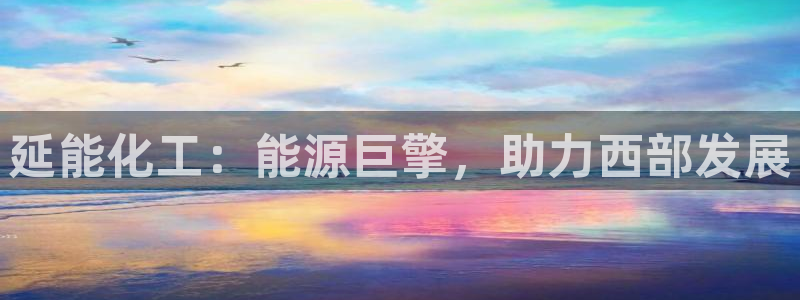球盟会网页登录app下载地址：延能化工：能源巨擎，助力西部发
