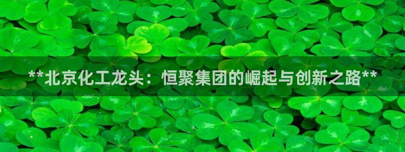 球盟会进不去球员吗：**北京化工龙头：恒聚集团的崛起与创新之