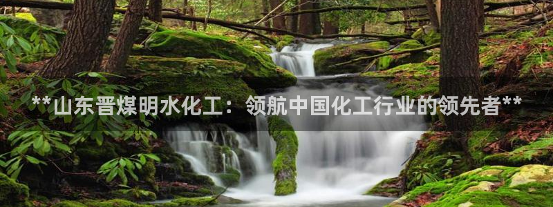 球盟会登陆：**山东晋煤明水化工：领航中国化工行业的领先者*