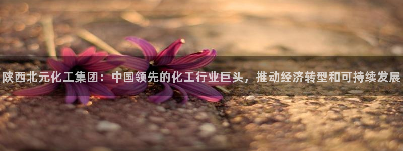 球盟会在线登录官网：陕西北元化工集团：中国领先的化工行业巨头