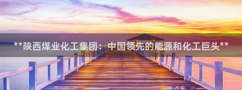 球盟会官网入口：**陕西煤业化工集团：中国领先的能源和化工巨