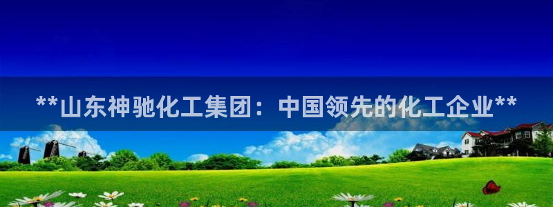 球盟会电子好下吗：**山东神驰化工集团：中国领先的化工企业*