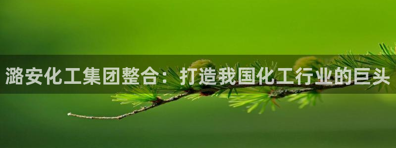 球盟会黑款吗
