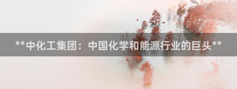 球盟会最新网：**中化工集团：中国化学和能源行业的巨头**