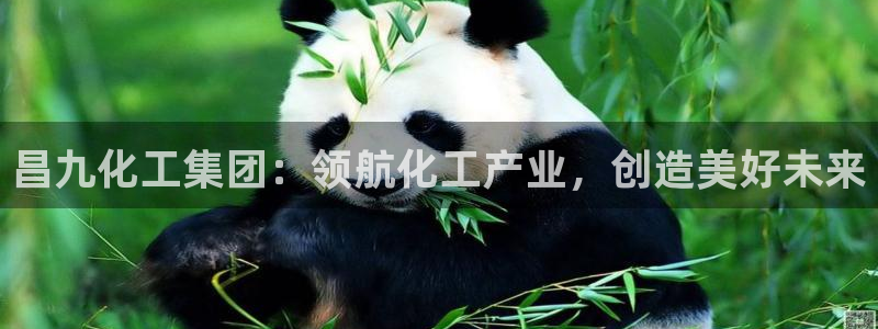球盟会黑款吗还是白款