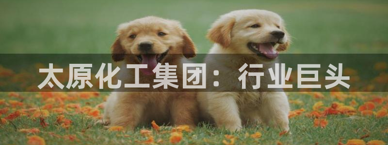 球盟会平台怎么样