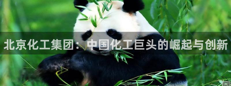 球盟会在线登录官网