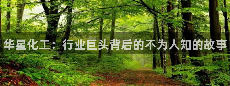球盟会可以提现么现在