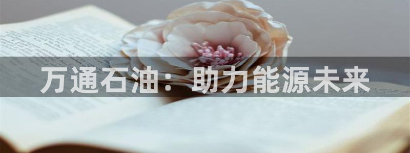 球盟会游戏：万通石油：助力能源未来
