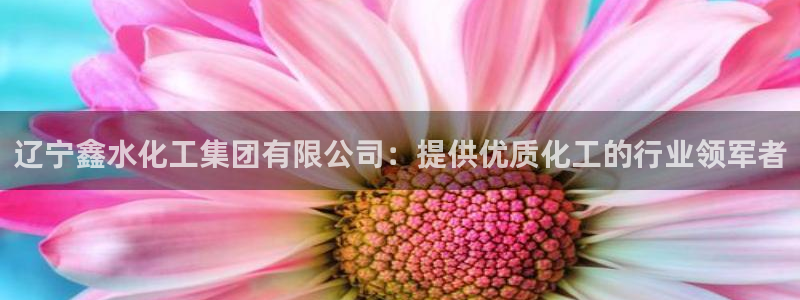球盟会官网入口