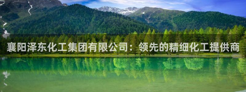 球盟会官方网站入口：襄阳泽东化工集团有限公司：领先的精细化工