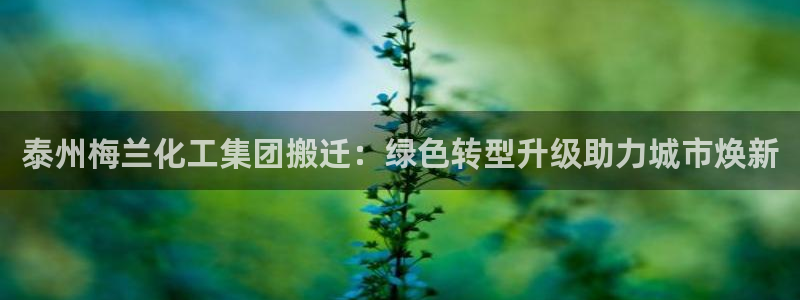 球盟会进不去吗：泰州梅兰化工集团搬迁：绿色转型升级助力城市焕