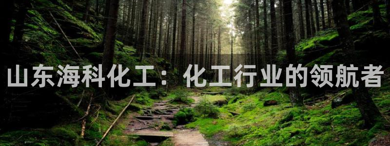 球盟会最新网